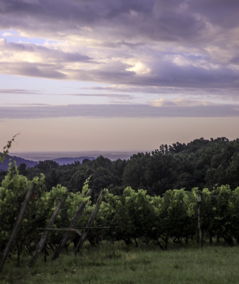 The Spirit of Virginia Wine - Virginia Wine Blog