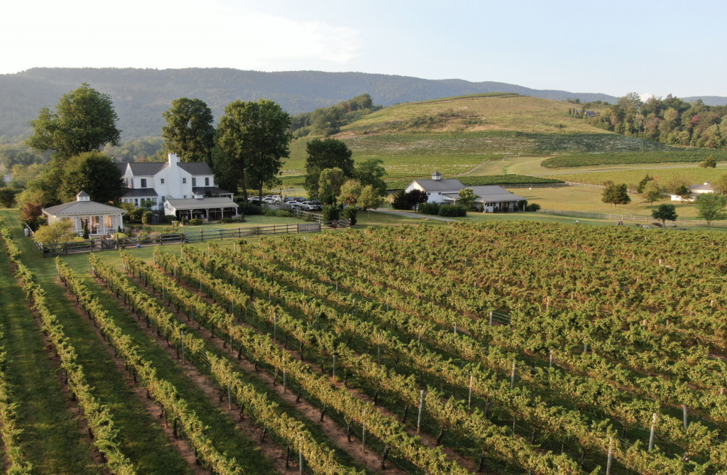 winery tours in va