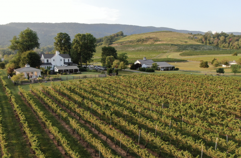Plan your Dream Vacation in Virginia Wine Country Virginia Wine Blog