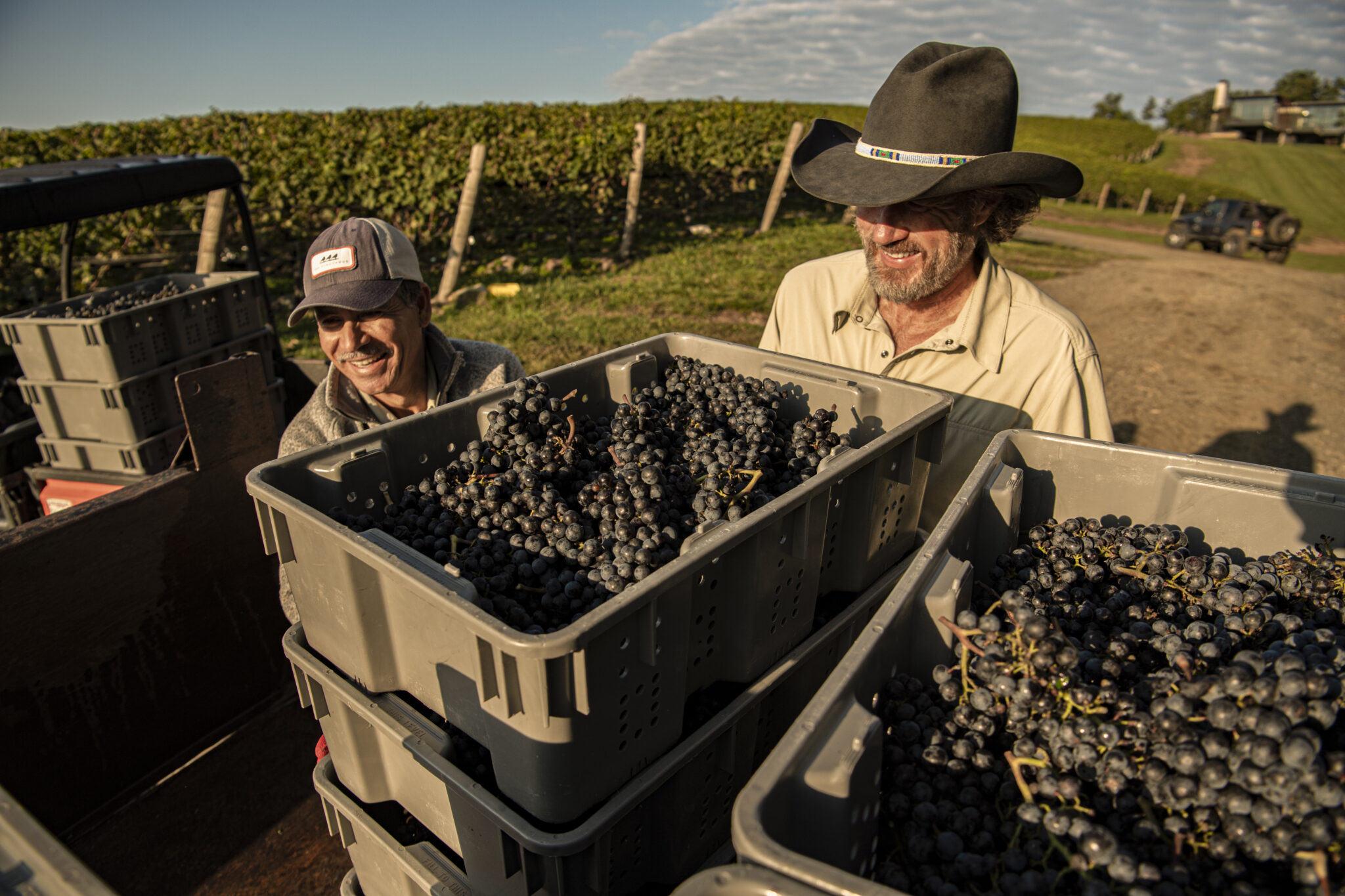 A Fresh Take on the Familiar Virginia Wine Blog