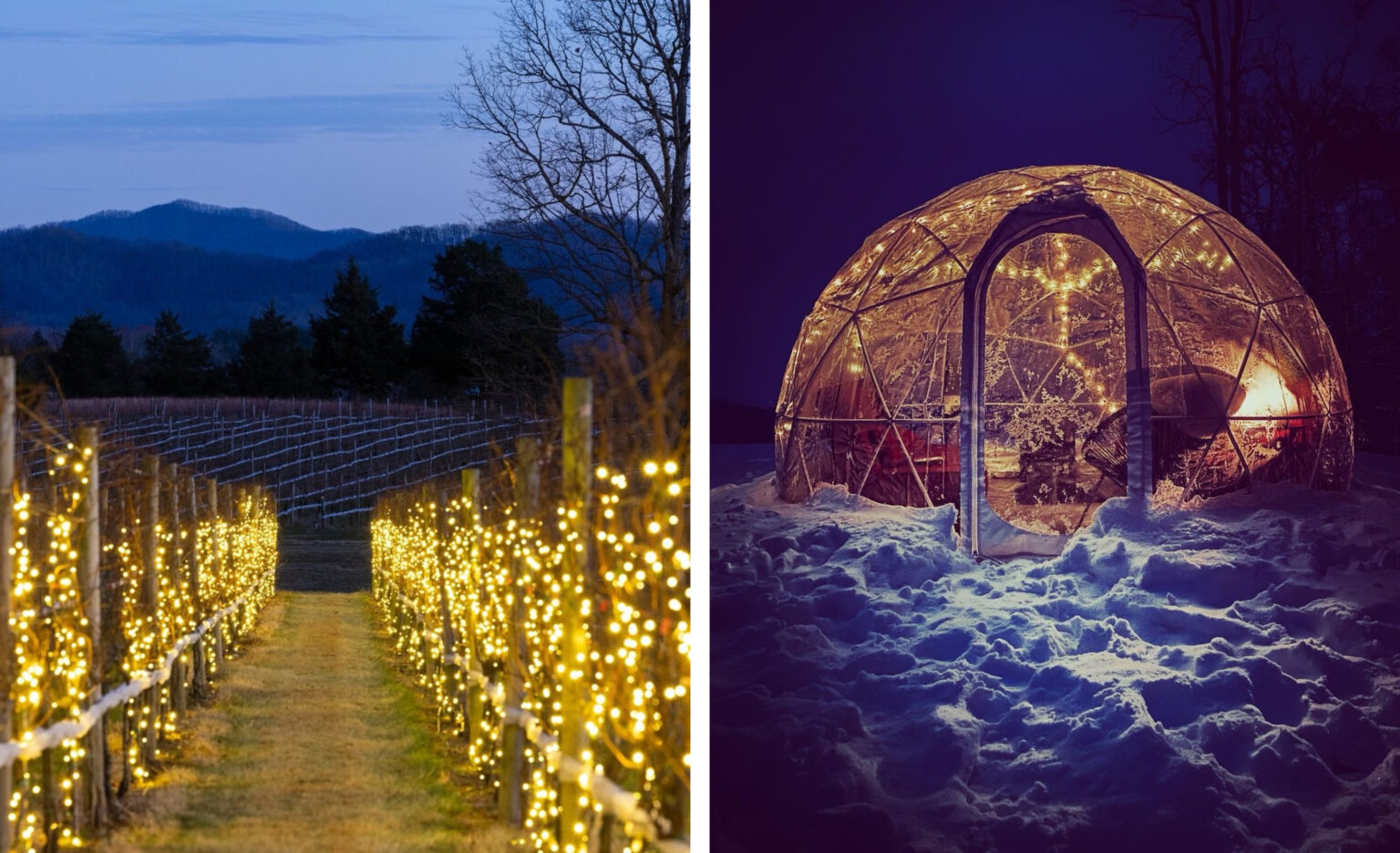 Winter Experiences with Virginia Wine - Virginia Wine Blog