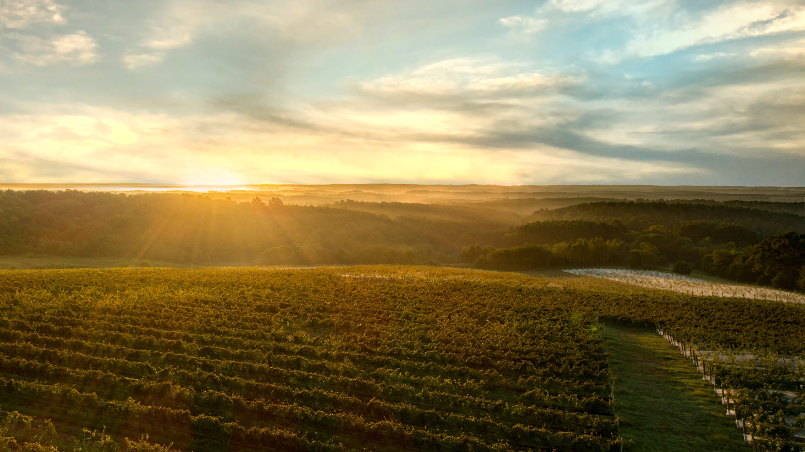 Planning Your Fall Virginia Winery Visit - Virginia Wine Blog