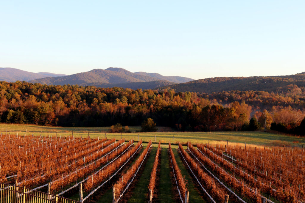 winery tours virginia