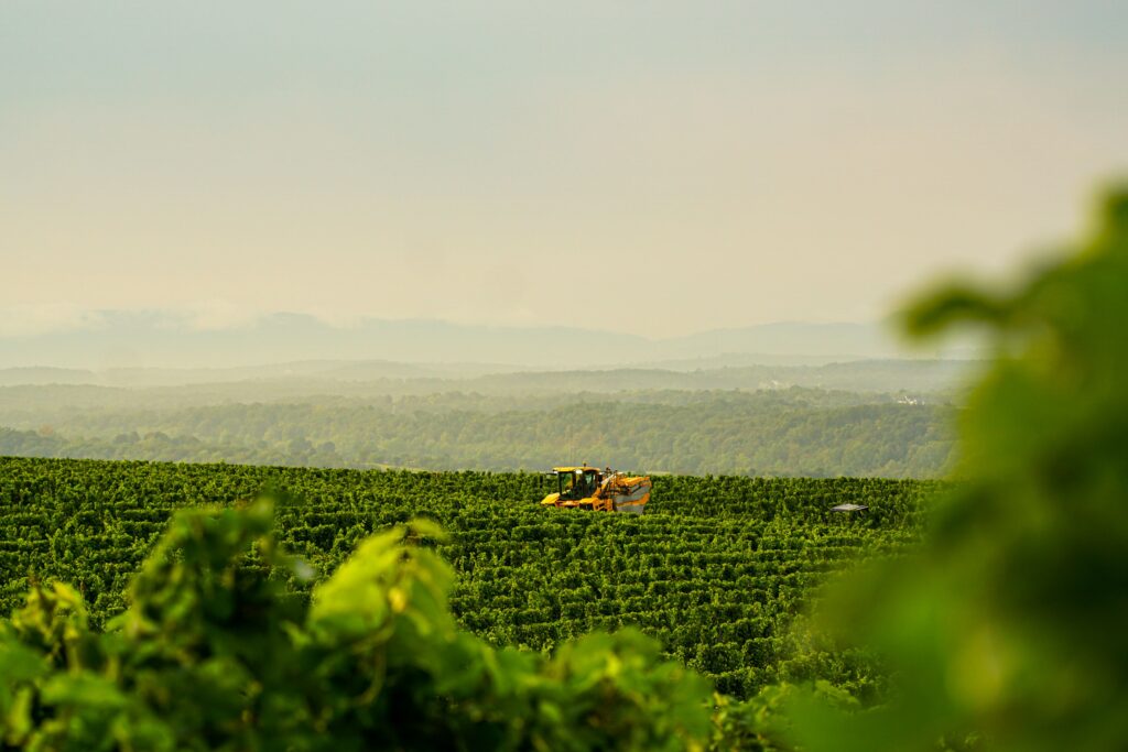 39 Years of Virginia Wine Month